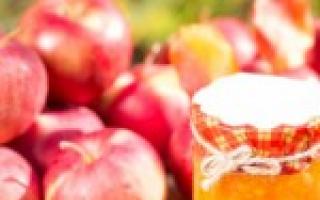 وصفات مربى الفركتوز: التفاح، الفراولة، الكشمش، الخوخ