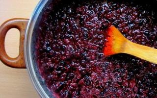 How to make blackcurrant jam “Five Minutes”