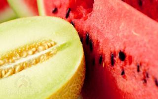Technologie pro pěstování vodních melounů ve volné půdě, výběr půdy, tvorba a péče Pěstování melounů ve volné půdě