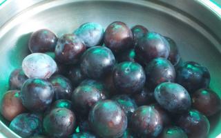 Five-minute seedless plum jam