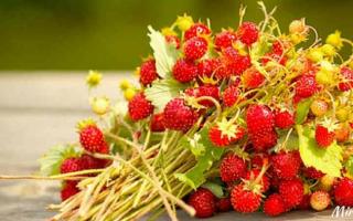 Χρήσιμες ιδιότητες της φράουλας